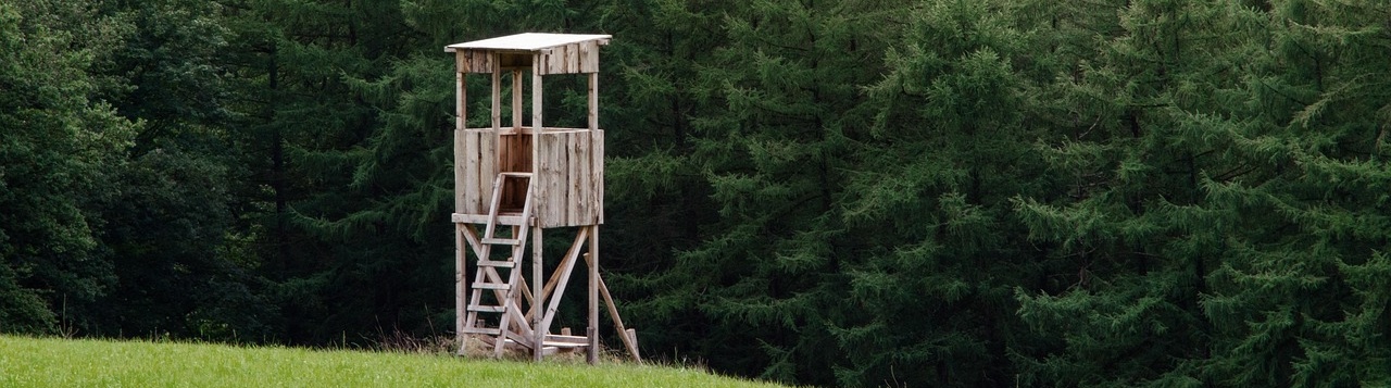 Image d'une tour de chasse dans un champ